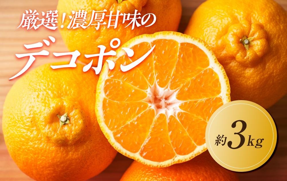 【2027年3月中旬より順次発送】厳選！濃厚甘味の「不知火(しらぬい)」約3kg｜果物 くだもの フルーツ 柑橘 みかん 不知火  濃厚 甘い ミカン 人気 おすすめ 先行予約 香川 高松