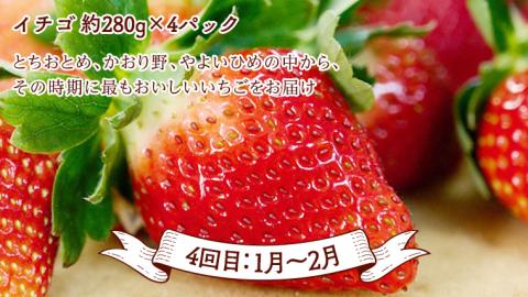 【 定期便 】【 2月下旬から発送開始 全4回 】 数量限定 贅沢 フルーツ 満喫コース [BC056sa]