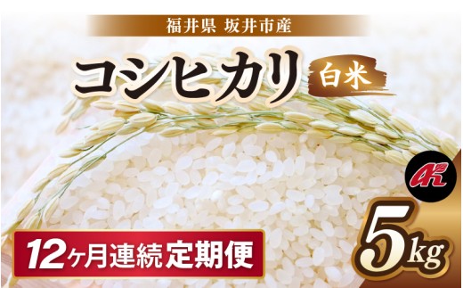 【先行予約】【令和8年産・新米】 定期便 ≪12ヶ月連続お届け≫ 坂井市産 コシヒカリ 白米 5kg×12回 計60kg (アグリ川崎) 【2026年10月以降順次発送予定】 米 こめ お米 精米 ブランド米 こしひかり 坂井の恵み 国産 [K-20505]