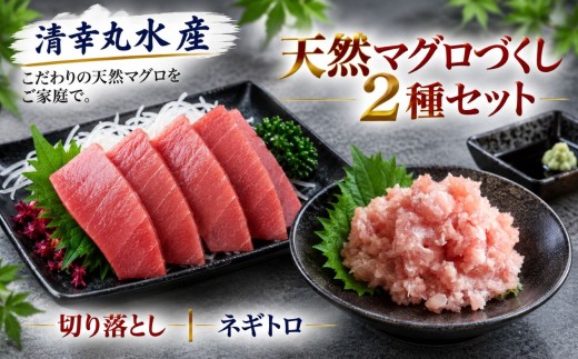 【 君津市 特別コラボ 】天然マグロ × マグロのための日本酒 | ねぎとろ 切り落とし 2種盛り 1.15kg 峯の精 まぐろ結び 720ml 純米大吟醸 ネギトロ マグロ 鮪 海鮮 刺身 海鮮丼 