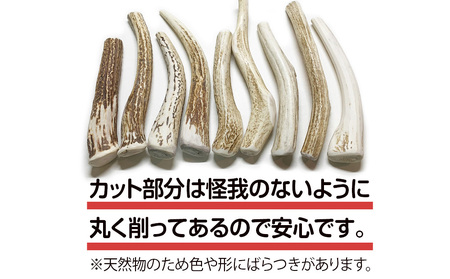 鹿の角 エゾシカ 犬のおもちゃ 『鹿角さん』 中型犬用 割っていないタイプ 1本 CB040