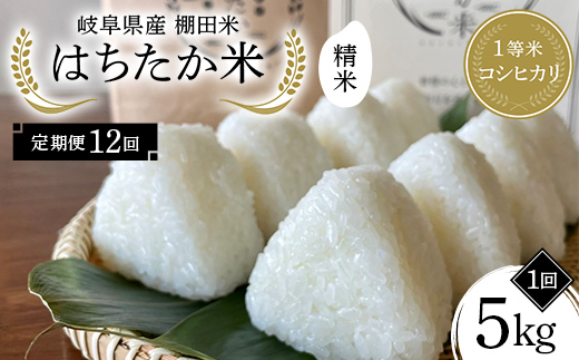 【12回定期便】岐阜県産 棚田米 1等米コシヒカリ はちたか米 精米5kg F4N-2586