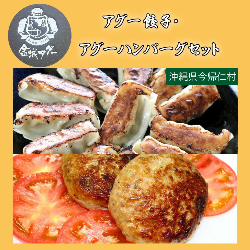 【ふるさと納税】金城ミート　アグー餃子・アグーハンバーグセット