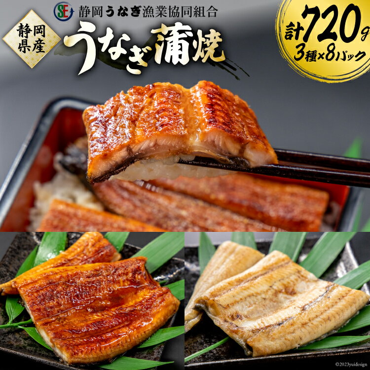 【ふるさと納税】 うなぎ 国産 静岡 うなぎふるさとセット 3種 計8パック [静岡うなぎ漁業協同組合 静岡県 吉田町 22424571] 静岡県産 鰻 ウナギ ungai 蒲焼き うなぎ蒲焼き 鰻蒲焼 白焼き 真空パック 冷凍 丑の日 丑の日配送
