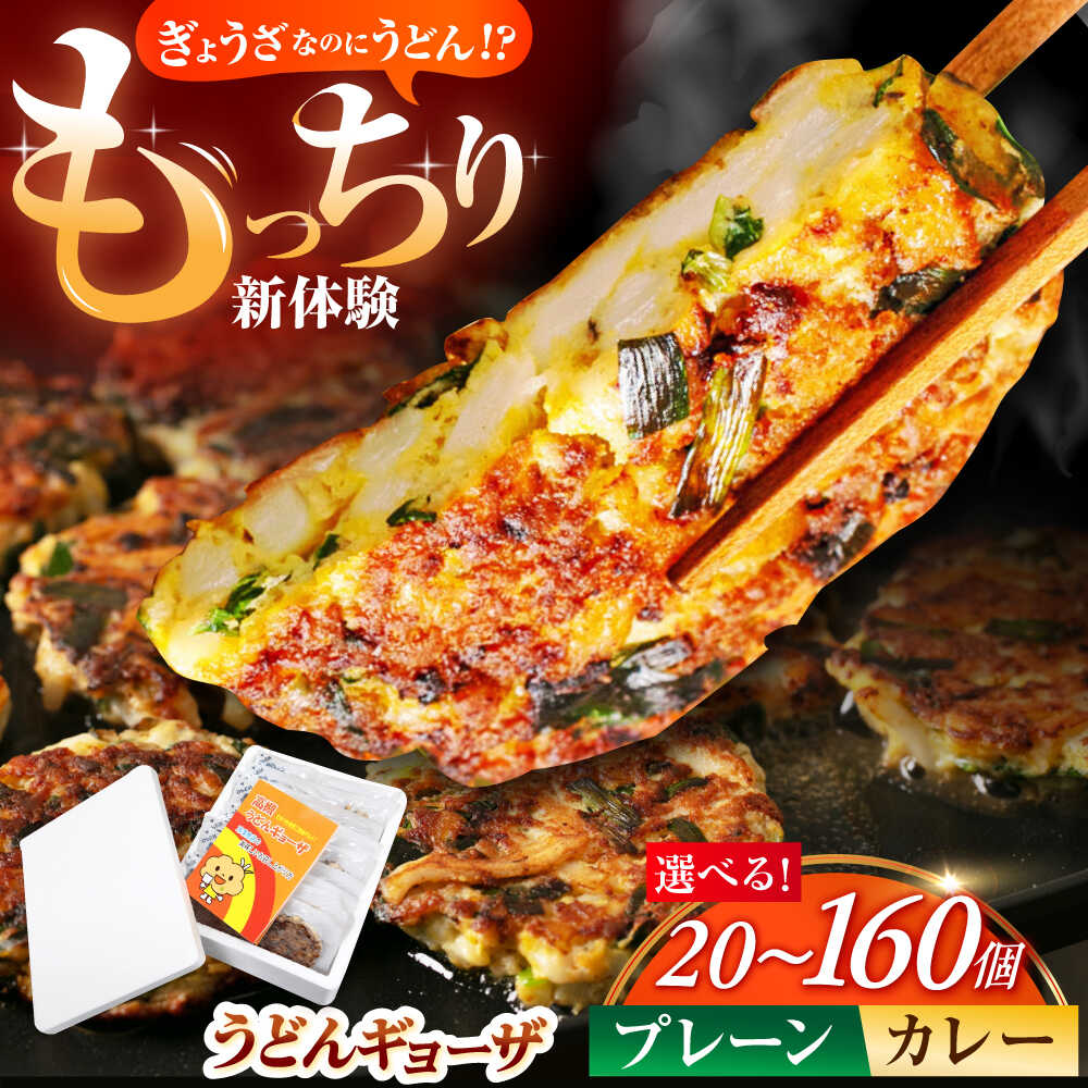 【ふるさと納税】 【選べる容量＆味】高槻うどんギョーザふるさとギフト 《プレーン＆カレー /20～160個》 餃子 ぎょうざ ギョーザ うどん 焼きうどん ご当地 ご当地餃子 おかず 中華 中華料理 大阪府高槻市/高槻うどんギョーザの会 [AOAU002]