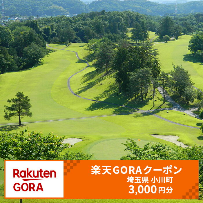 【ふるさと納税】埼玉県小川町の対象ゴルフ場で使える楽天GORAクーポン 寄付額10,000円