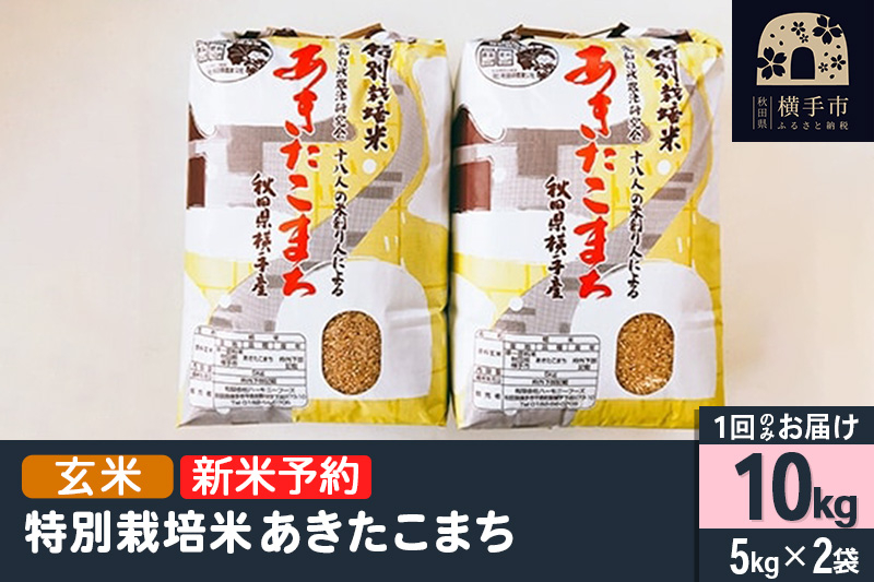 
            【令和6年産新米予約】【玄米】特別栽培米あきたこまち 10kg（5kg×2袋）
          