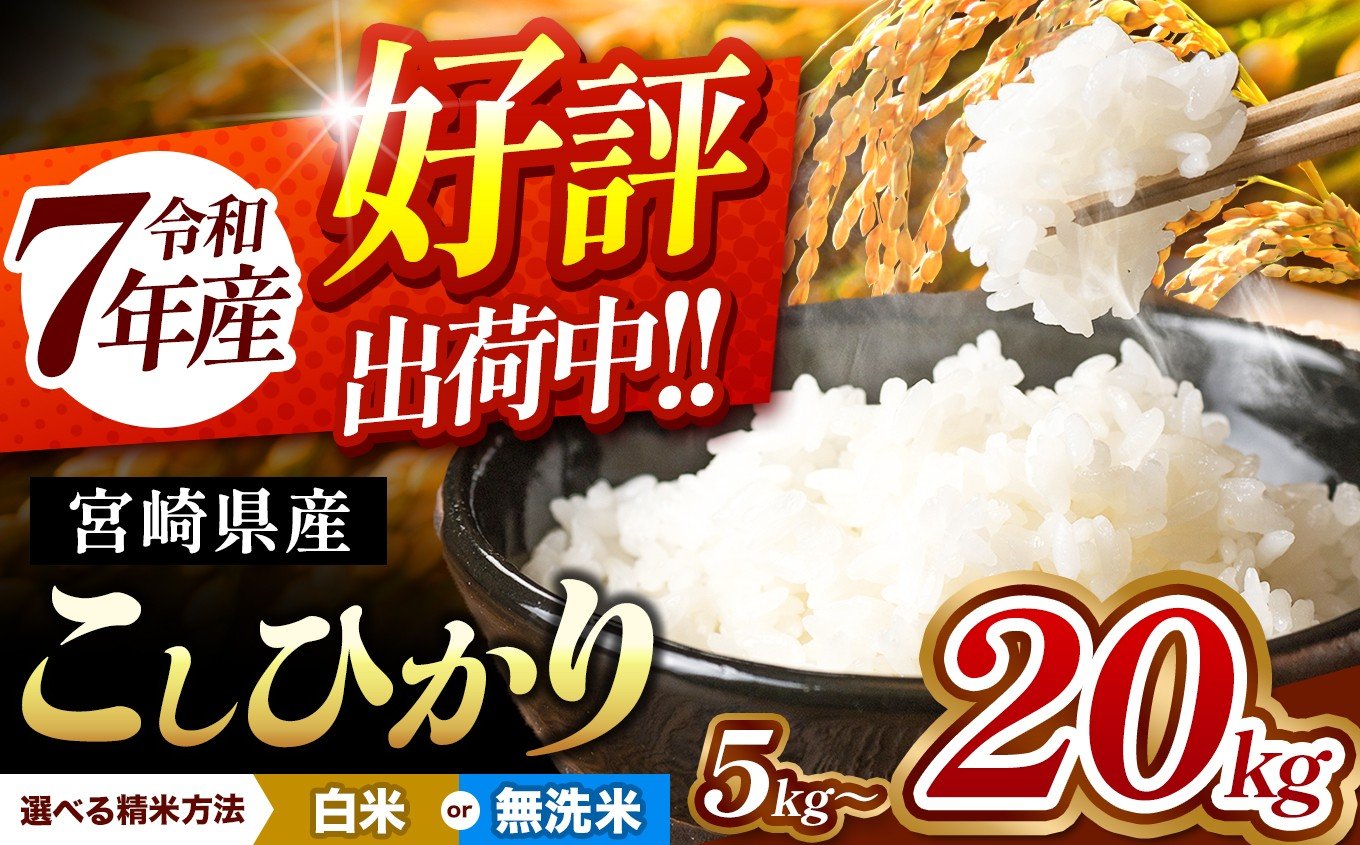 宮崎県産 こしひかり 新米（白米）10kg