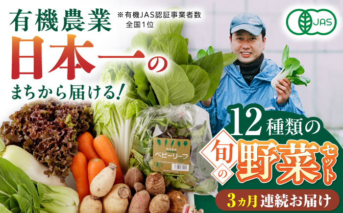 【全3回定期便】四季を味わう野菜セット 熊本県産有機野菜 山都町産有機野菜 産地直送 高原野菜 新鮮有機野菜 採れたて有機野菜 旬 有機野菜セット 有機野菜食べ比べ 九州産有機野菜 有機野菜 オーガニック【株式会社 肥後やまと】 [YAF020]