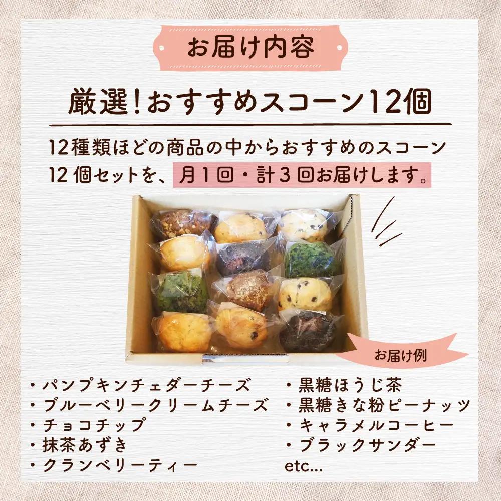 【全3回定期便】厳選おすすめ スコーン 12個セット  BCAE011 スイーツ
