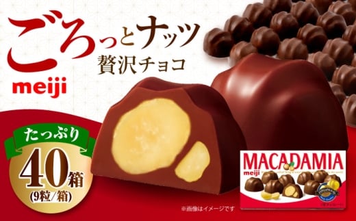 明治 マカダミアチョコレート 9粒×40箱 チョコレート 明治 チョコ ナッツ マカダミアチョコ お菓子 おやつ ストック スイーツ デザート 大容量 大阪府高槻市/株式会社 丸正高木商店 [AOAA066]