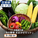 【ふるさと納税】【配送時期が選べる】【6回定期便】西粟倉産 「旬の野菜 おまかせセット」 F-FF-C02A