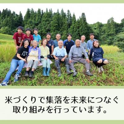 ふるさと納税 十日町市 【毎月定期便】新潟県魚沼産コシヒカリ「山清水米」精米5kg全6回 |  | 01