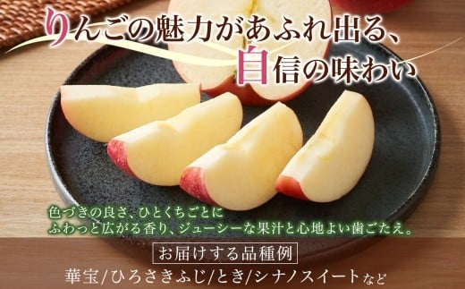 りんご2kg（品種お任せ） 5～8玉