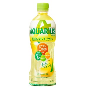 【3回定期便】アクエリアス 1日分のマルチビタミン PET 500ml×24本×3回 合計72本 3ヶ月 水分補給 スポーツ飲料 清涼飲料水 常温 AQUARIUS コカ・コーラ 熱中症対策 送料無料