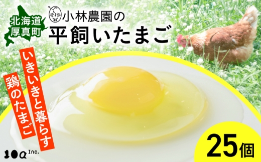小林農園の平飼いたまご・無投薬 25個 常温配送｜ 卵 鶏卵 玉子 生卵 有精卵 平飼い 北海道 定期便 [AXAN119]