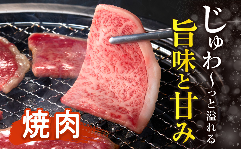 生産者応援≪肉質等級4等級以上≫宮崎県産黒毛和牛霜降り肩ロース(焼肉)計1.2kg 肉 牛 牛肉 おかず 国産_T030-1943