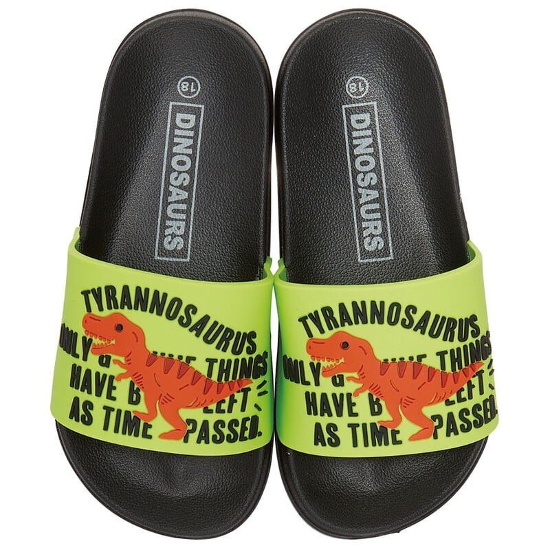 
            キッズ シャワー サンダル【サイズ選択可】18.0cm・19.0cm・20.0cm 子供 こども かわいい 夏 海 ビーチ スケーター skater ディノサウルス 恐竜 ダイナソー 男の子 男子【プール 海水浴 子ども キャラクター】 奈良県 奈良市 なら 
          