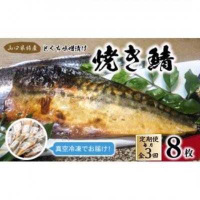 ふるさと納税 宇部市 【毎月定期便】簡単レンジであたため調理焼きさばとくぢ味噌漬け8枚(1枚約90g)[合計24枚]全3回