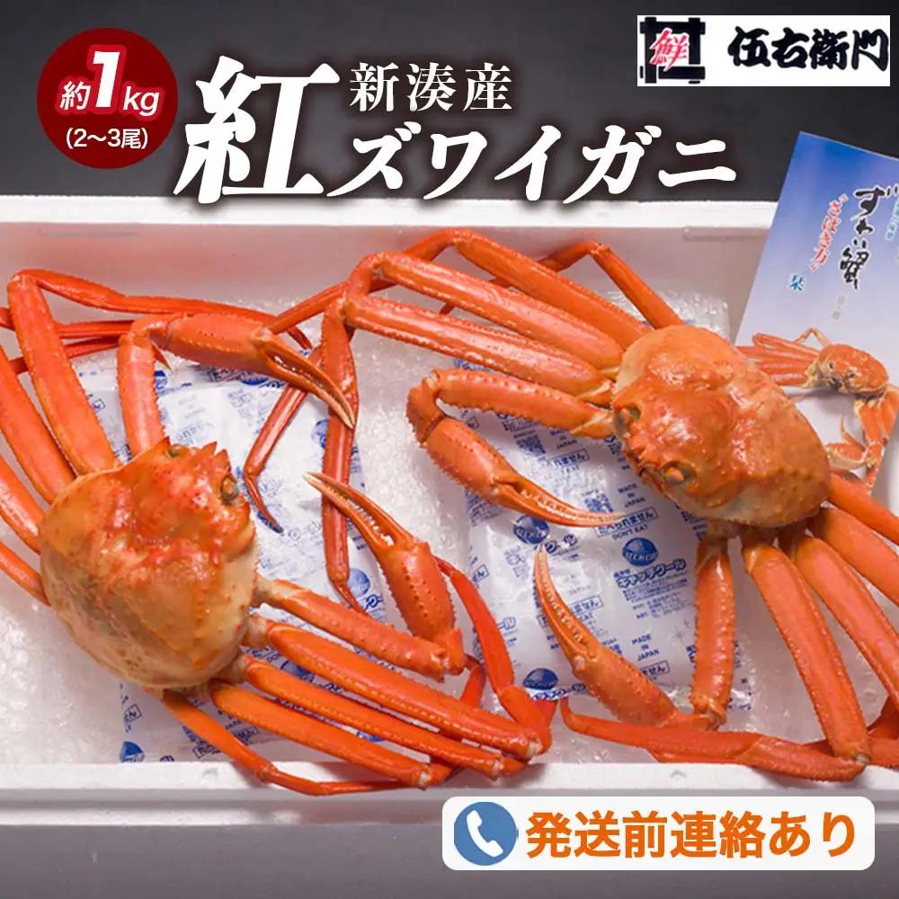 【伍右衛門】新湊産紅ズワイガニ約1kg（2～3尾） ※2026年9月～発送 ※発送まで1か月以上かかる場合があります。