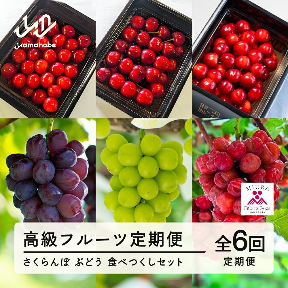 【ふるさと納税】「高級フルーツ定期便6回」　山形県山辺町産　さくらんぼ＆ぶどう　食べつくしセット 令和8年産 2026年産 山形県山辺町産 フルーツ 果物 送料無料 bg-ftsbx6