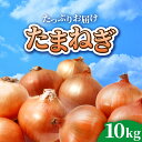 【ふるさと納税】玉ねぎ たまねぎ 訳あり 10kg 【 先行予約 】 令和7年7月〜10月発送 金ケ崎町 産 金ケ崎 岩手県 よこみちファーム 野菜 タマネギ 玉葱 オニオン M～Lサイズ 不揃い バラバラ 皮剥け 10キロ 肉じゃが サラダ 新鮮 高騰 高騰中 高騰野菜 甘い ハンバーグ