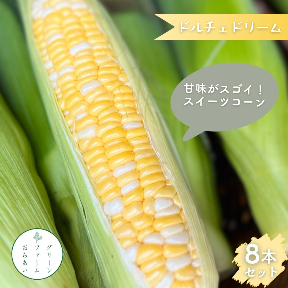
            甘味がスゴイ！ スイーツコーン 8本入り とうもろこし 朝採りとうもろこし スイートコーン ドルチェドリーム
          
