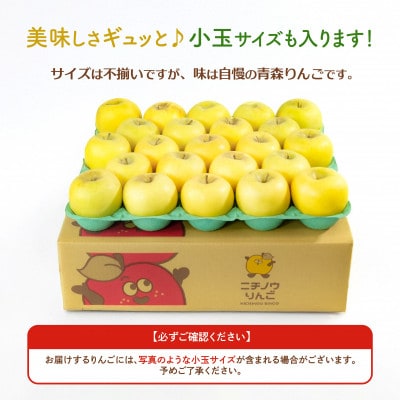 【9月発送予定】訳あり青森りんご  夏が旬! 黄王(きおう)約10kg 平均糖度12度以上【配送不可地域：離島・沖縄県】