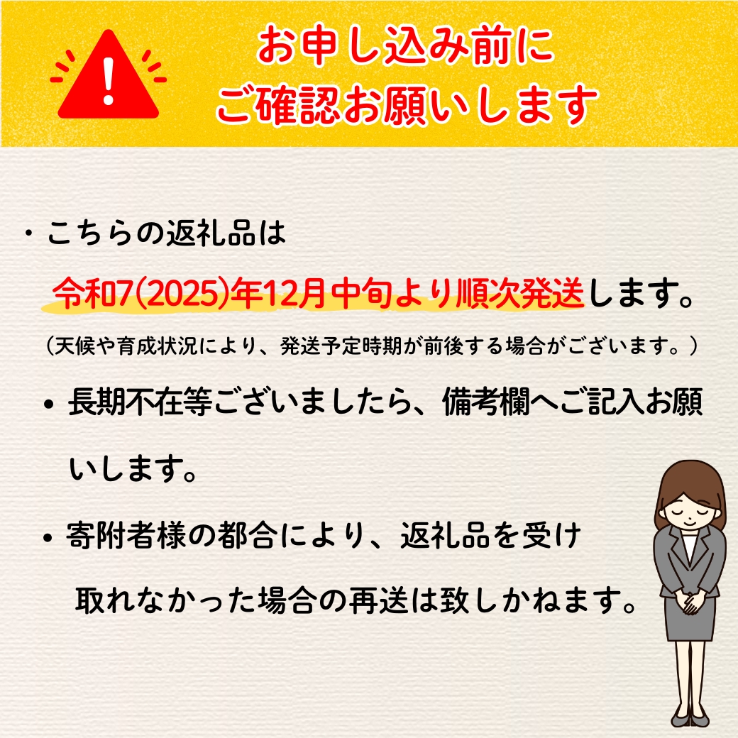 【先行予約】【訳あり】サンふじ 【約10kg(22〜40玉）】（2025年産）(7-A39-3)