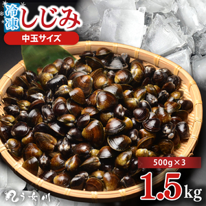 しじみ 冷凍 中玉 1.5kg（500ｇ×3）砂抜き済み 涸沼川 う女川（IX-115）