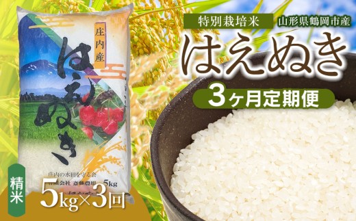 【令和8年産 新米】【定期便3ヵ月】斎藤農場の特別栽培米 はえぬき 精米 5kg(5kg×1袋)×3ヶ月 山形県鶴岡市 K-837 | 米 こめ コメ はえぬき ブランド米 庄内米 ごはん ご飯 美味しい 国産 おにぎり 農家直送 おすすめ 人気 お取り寄せ 返礼品
