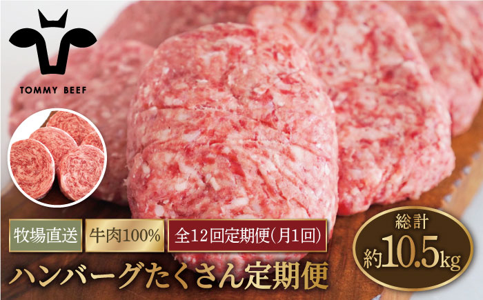 
            【牧場直送】【12回定期便】家族に優しい！ハンバーグ＆ロールステーキ定期便 【佐賀セントラル牧場】佐賀県産 牛肉 お肉 肉 ハンバーグ ステーキ 九州 佐賀県 白石町 [IAH050]
          