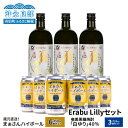 【ふるさと納税】飲み比べ セット まぁさん ハイボール 8％ 350ml×6本 奄美 黒糖 焼酎 白ゆり 40度 720ml×3本（Erabu Lilly）化粧箱入り 贈答 蔵元直送 樽 強炭酸 限定 ご当地 贈り物 プレゼント ギフト 人気 飲料 おすすめ お取り寄せ 送料無料