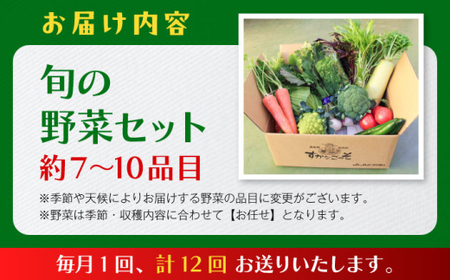 【全12回定期便】よこすか野菜セット すかなボックス／野菜 旬 セット  【JAよこすか葉山】[ASCB004]