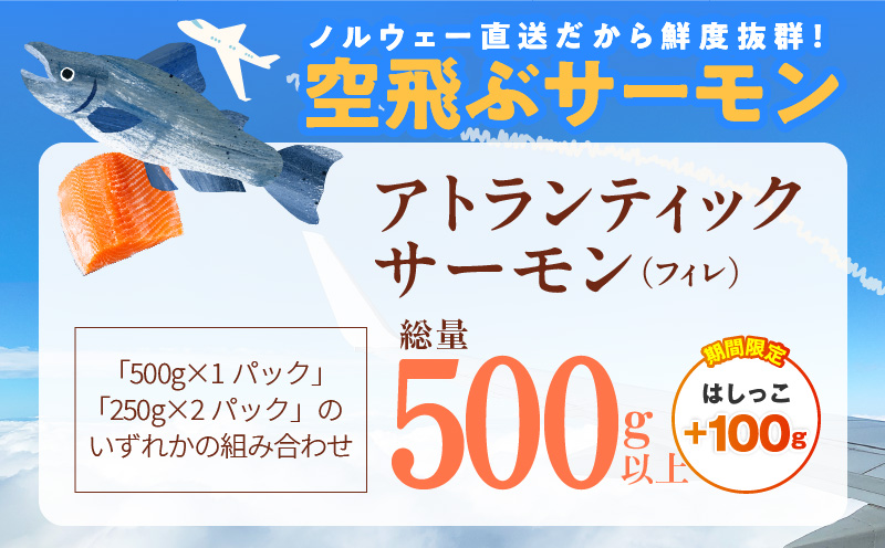 【期間限定】アトランティックサーモン 総量 500g以上＋はしっこ100g【フィレ エコパック 訳あり サイズ不揃い 刺身 さーもん 冷凍 北国からの贈り物】 099H3605-2