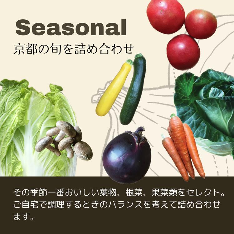 【定期便】京都丹波産【栽培期間中農薬・化学肥料不使用】野菜セット【デラックス】
