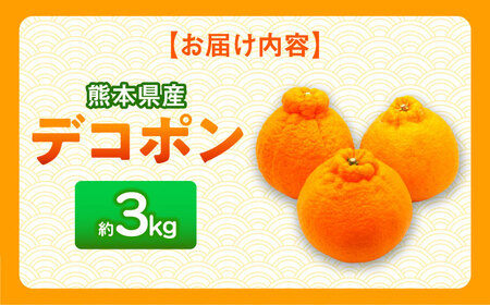 【先行予約】 デコポン　約3kg 柑橘 みかん 蜜柑 熊本 フルーツ 果物 【日本フルーツ株式会社】[ZFJ033]