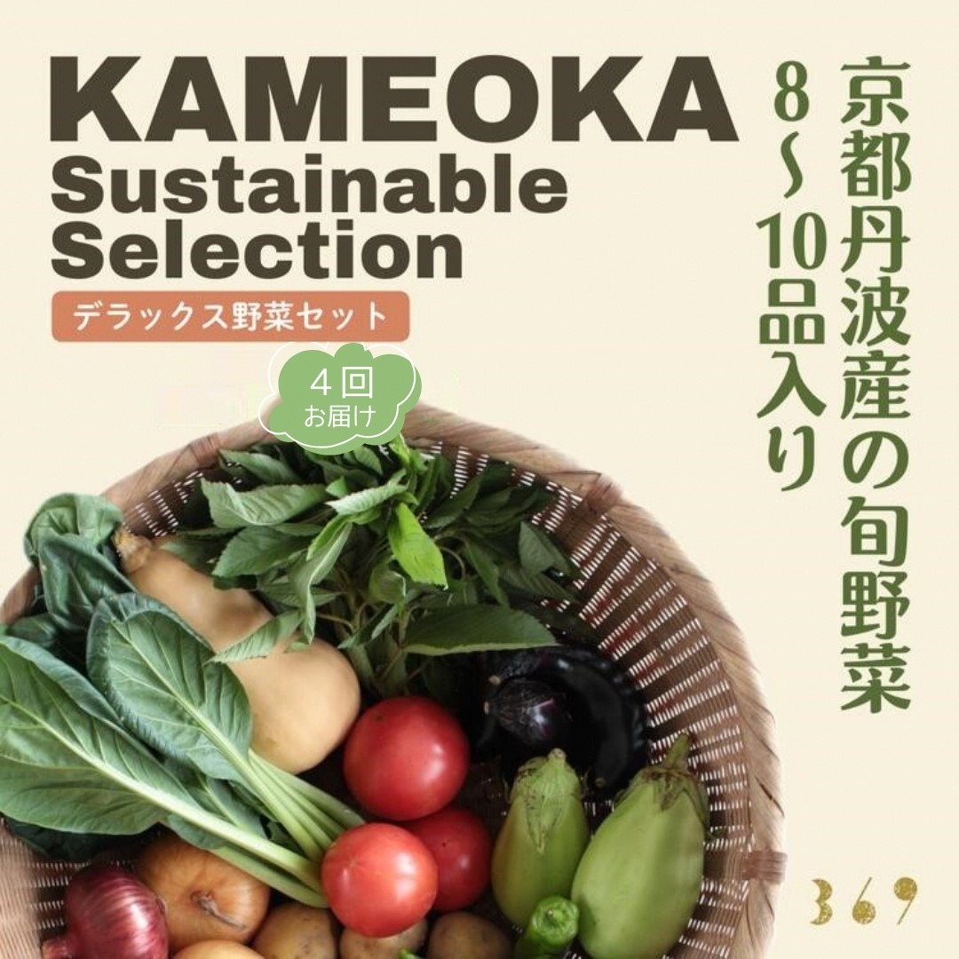 【4回定期便】＜３６９商店＞京都丹波産旬の野菜セットデラックス！平飼い卵10個、季節の果物又は加工品　※栽培期間中農薬・化学肥料不使用※ 野菜 定期便 4回 卵 ※北海道・沖縄・離島への配送不可