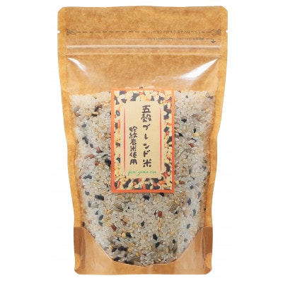 令和6年産養父市の希少米　蛇紋岩米(無洗米)5kg　五穀ブレンド米(蛇紋岩米使用)セット【1415362】