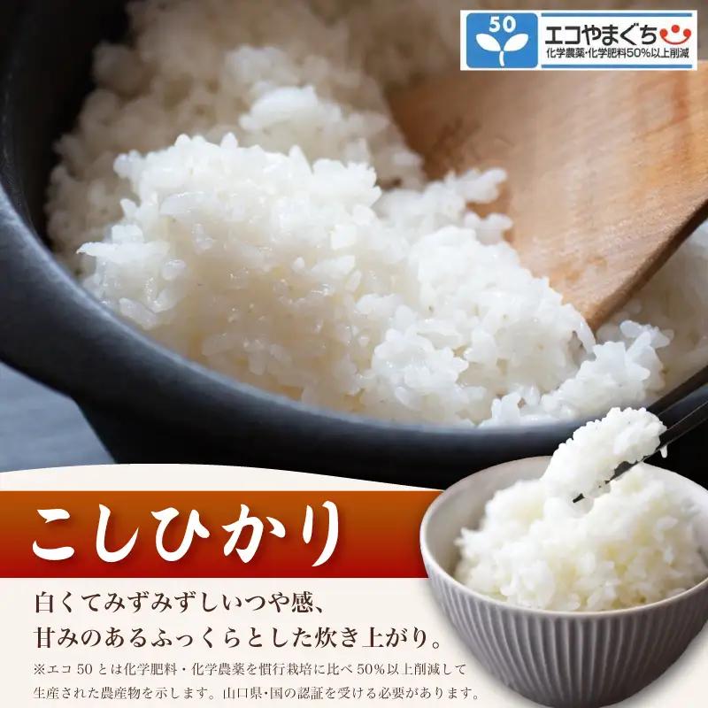 【先行予約】 コシヒカリ 10kg (5kg×2箱) 無洗米 令和8年産 【10月以降順次発送】 山口県産 特別栽培エコ50 (化学農薬・肥料50％以上削減/精米まで一貫加工)  《内日三町：DZ》
