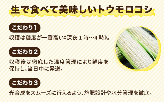【お中元対象】【 先行予約：2024年7月以降順次発送 】 糸島 トウモロコシ 『もきっこ』 白 （ 8～10本 ） 《糸島》 【内田農業】 [AZH002]