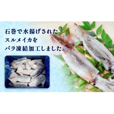 ふるさと納税 石巻市 石巻市産スルメイカツボ抜き2kg 冷凍 国産 スルメイカ いか イカ魚介類 焼イカ バーベキュー |  | 01
