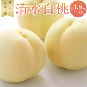 桃 2026年 清水 白桃 5～6玉入 約1.5kg 岡山市一宮地区産 もも モモ フルーツ 果物 ギフト