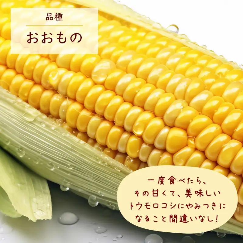 《クール便》令和8年産 朝採り とうもろこし「おおもの」 秀品 5kg （12本 - 14本） 2026年産 山形県産 【2026年7月上旬頃から9月下旬頃発送予定】 ※配送不可 沖縄・離島　012-