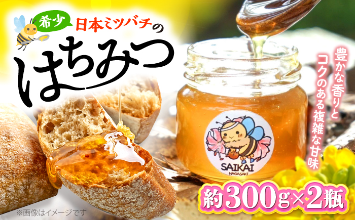 【希少な日本ミツバチ】 国産 蜂蜜 約600g（約300g×2瓶） ～西海からの贈り物～＜おばま養蜂農園＞ [CFY002]  長崎 西海 蜂蜜 はちみつ ハチミツ 蜂蜜 はちみつ ハチミツ 国産蜂蜜