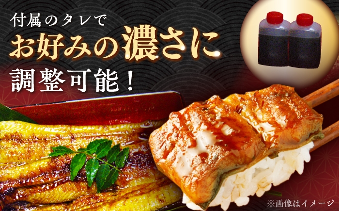 うなぎ 蒲焼き 国産 たれ付き セット
