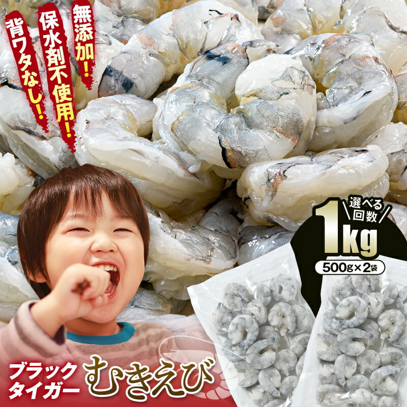 【ふるさと納税】背ワタなし 無添加 ブラックタイガー むきえび 1kg 選べる回数 定期便 小分け エビ 海老 むき身 海鮮 魚介類 無添加 バラ凍結 保水剤不使用 下処理済み F6L-1124var