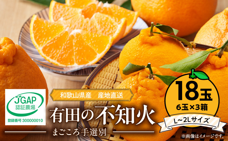 
            ZE6112n_【2026年先行予約】有田の不知火(しらぬひ)　6玉× 3箱（L～2Lサイズ）まごころ手選別

          