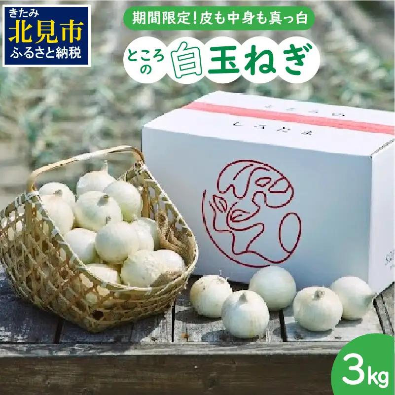 【予約：2026年7月中旬から順次発送】ところの白玉ねぎ 3kg ( 玉ねぎ タマネギ 玉葱 野菜 白玉ねぎ 3キロ 期間限定 辛みが少ない 生食 )【121-0003-2026】
