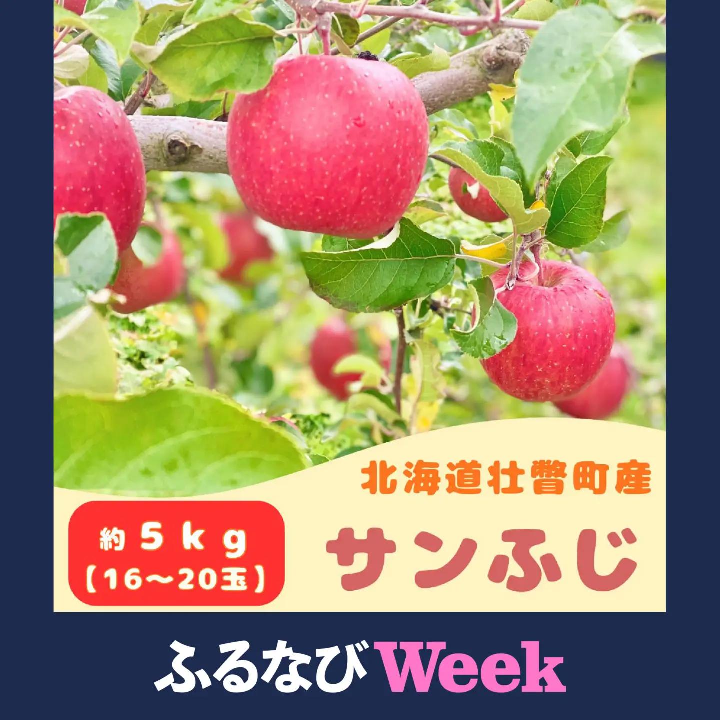 【ふるなびWEEK対象】【先行予約】 サンふじ 約5kg 2026年11月中旬頃～発送予定 SBTB015